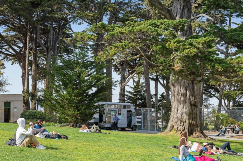 North-Panhandle-San-Francisco